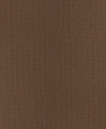 Q1046 Картон д/паспарту НЕОПРОФИ, 81x102см, 1.3мм (Тропа)