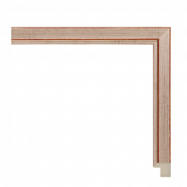 Багет пластиковый 29.2222.28