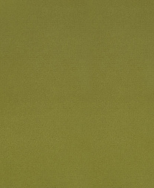 Q1151 Картон д/паспарту НЕОПРОФИ, 81x102см, 1.3мм (Зеленая груша)