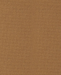 Q1110 Картон д/паспарту НЕОПРОФИ, 81x102см, 1.3мм (Дуб)