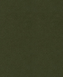 Q1169 Картон д/паспарту НЕОПРОФИ, 81x102см, 1.3мм (Лондонский зеленый)