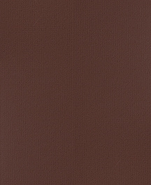 Q1044 Картон д/паспарту НЕОПРОФИ, 81x102см, 1.3мм (Какао)